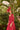Veni Infantino 992214 Fuchsia - Mother of the Bride A-line Dress | Sean Rayment Manchester
