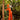Veni Infantino 992225 Orange Jumpsuit