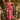 Veni Infantino 992235 Fuchsia - Mother of the Bride Dress | Sean Rayment Manchester
