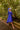 Veni Infantino 992236 Royal - Mother of the Bride Dress | Sean Rayment Manchester