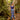 Veni Infantino 992241 Navy/Green - Mother of the Bride Dress | Sean Rayment Manchester