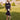 Veni Infantino 992259 Navy/Champagne - Mother of the Bride Dress | Sean Rayment Manchester