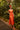 Veni Infantino 992264A Orange - Mother of the Bride Dress | Sean Rayment Manchester