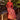 Veni Infantino 992339 RED / NUDE - Mother of the Bride A-line Dress | Sean Rayment Manchester