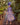 Veni Infantino 992339 Royal/Nude - Mother of the Bride A-line Dress | Sean Rayment Manchester