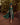 Veni Infantino 992347 Emerald - Mother of the Bride Dress | Sean Rayment Manchester
