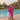 Veni Infantino 992471S Fuchsia - Mother of the Bride Dress | Sean Rayment Manchester
