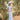 Veni Infantino 992727 Light Blue - Mother of the Bride Dress | Sean Rayment Manchester