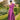 Veni Infantino 992731 Party Pink Print - Mother of the Bride Dress | Sean Rayment Manchester