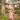 Veni Infantino 992734 Champagne - Mother of the Bride Dress | Sean Rayment Manchester