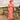 Veni Infantino 992752 Coral - Mother of the Bride Dress | Sean Rayment Manchester
