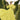 Veni Infantino 992770 Lime - Mother of the Bride A-line Dress | Sean Rayment Manchester