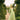 Veni Infantino 992770 Lime/Multi Print - Mother of the Bride A-line Dress | Sean Rayment Manchester